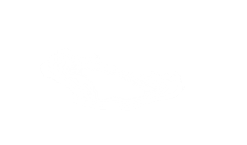 Best Digital Marketing Institute in Varanasi